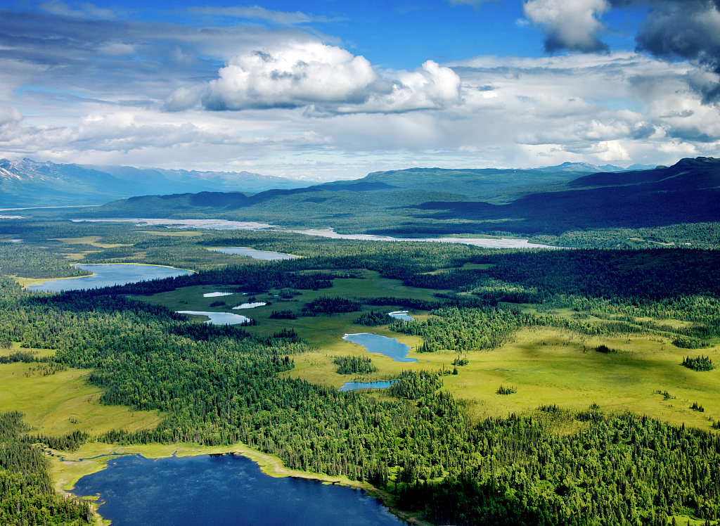 Alpine lakes and forest, Denali National Park