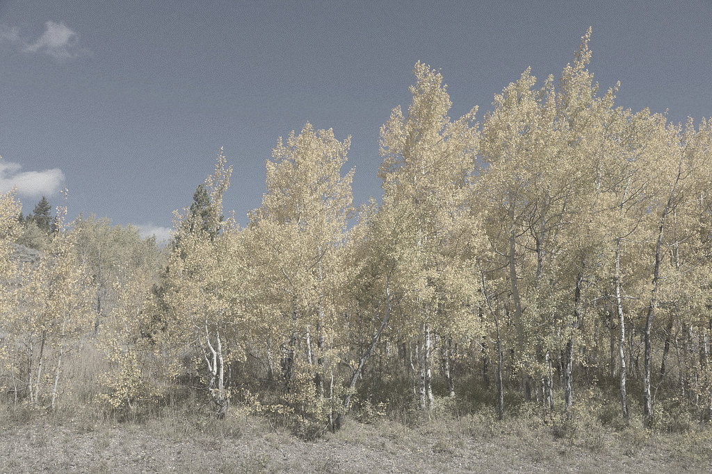 Teton, Archive