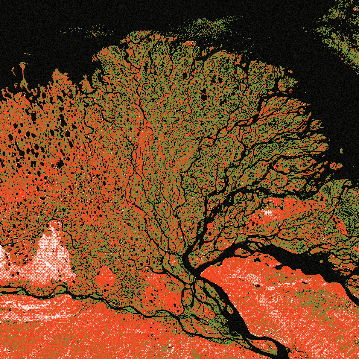 Lena Delta, Landsat, National Park recipe